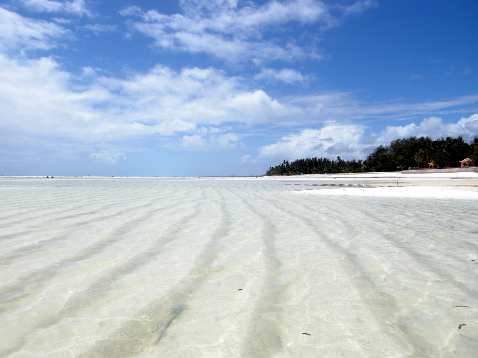 Пляж Паже во время отлива, юго-восток Занзибара